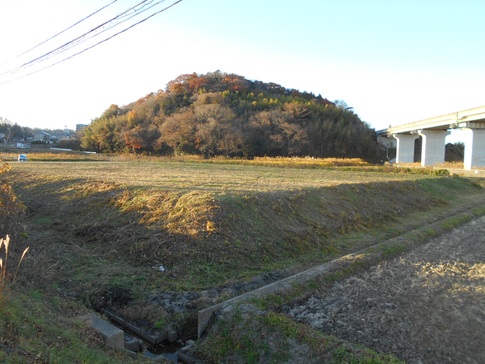 施工後 — きれいに除草された休耕地